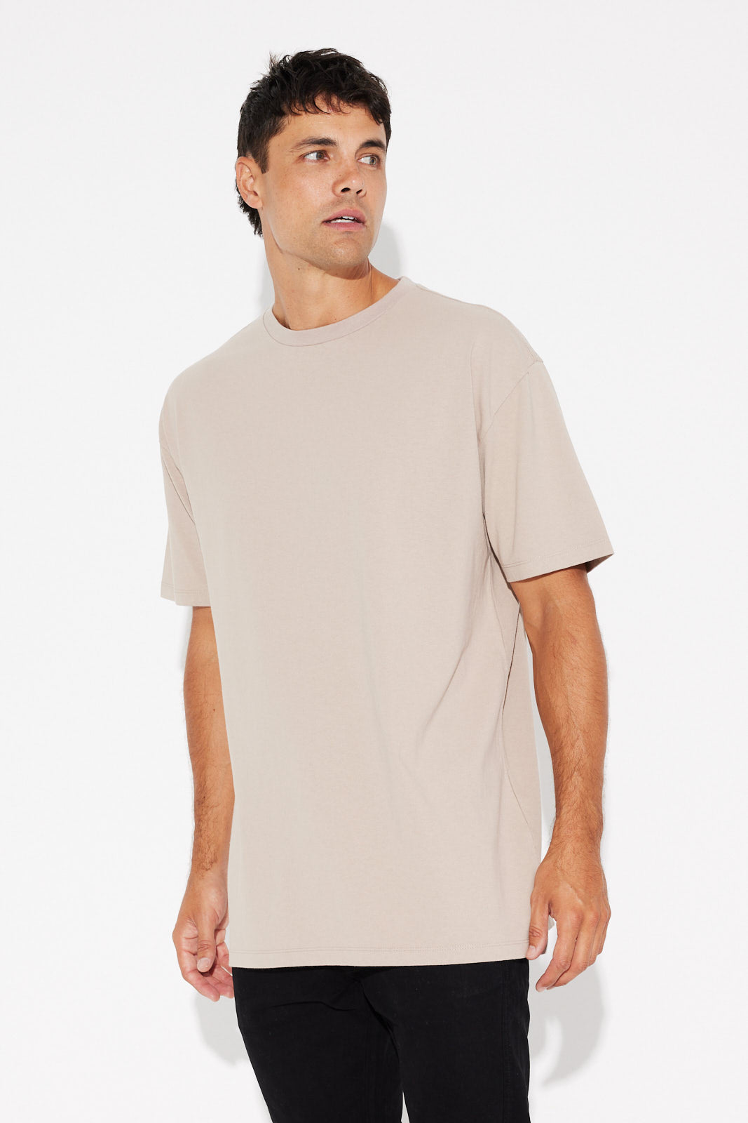 NTH Heavyweight Tee Stone